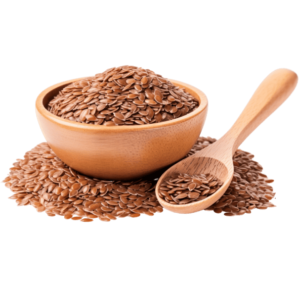 Flax Seeds