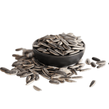 Sunflower Seeds