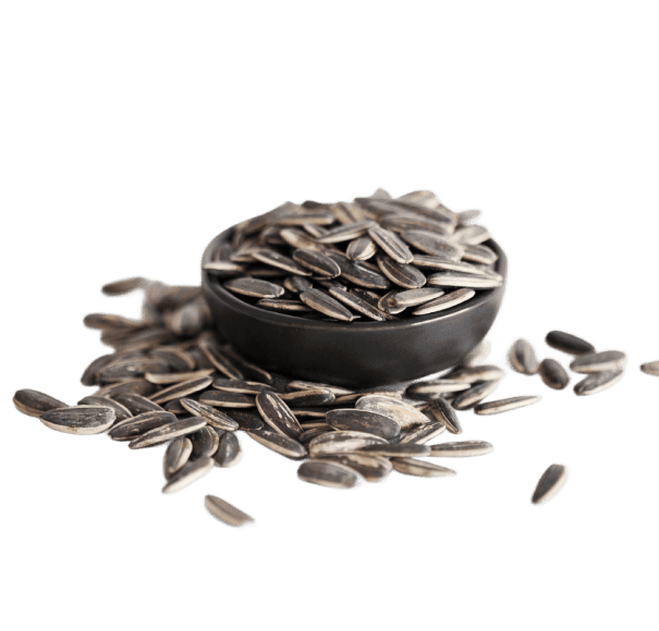 Sunflower Seeds